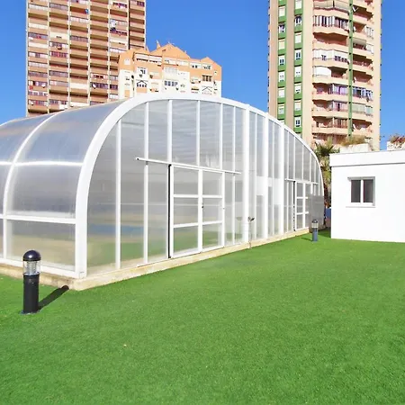 Gema Gemelos 26 Benidorm